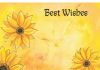 The Best Wishes with the Best cards