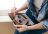 Art Community Goes Online