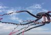 Flying Kites is Fun for All Ages